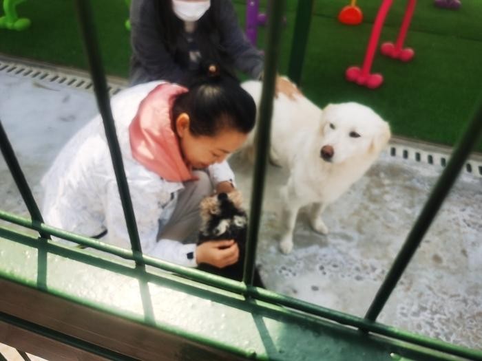 济南市区首家犬只留检所投入运营可收留两千只狗