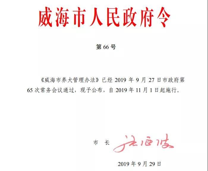 威海养犬新规发布 11月1日起实施