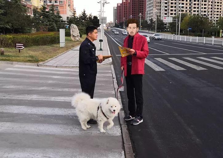 《威海市养犬管理办法》正式施行！附超详细图解